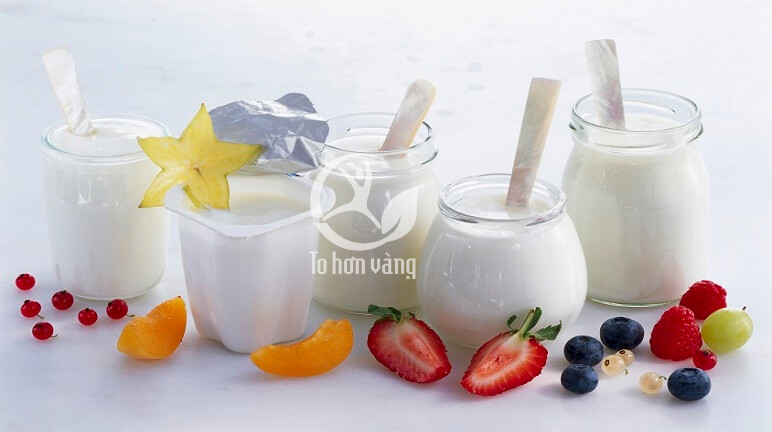Sữa chua giúp cung cấp lợi khuẩn cải thiện tình trạng tiêu hóa