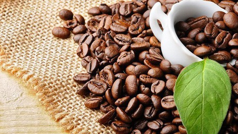 Hình ảnh: Cà phê nguyên chất được chiết suất làm nên Kẹo sâm Hamer